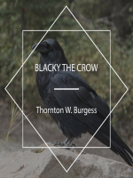 Blacky_the_crow